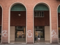 _DSC7856 copia