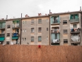 _DSC7862 copia