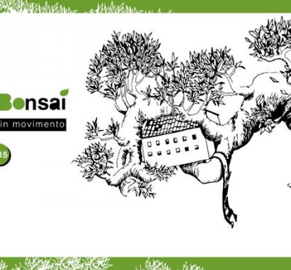 BAUM Bonsai: piccoli semi esplodono – lentissimamente