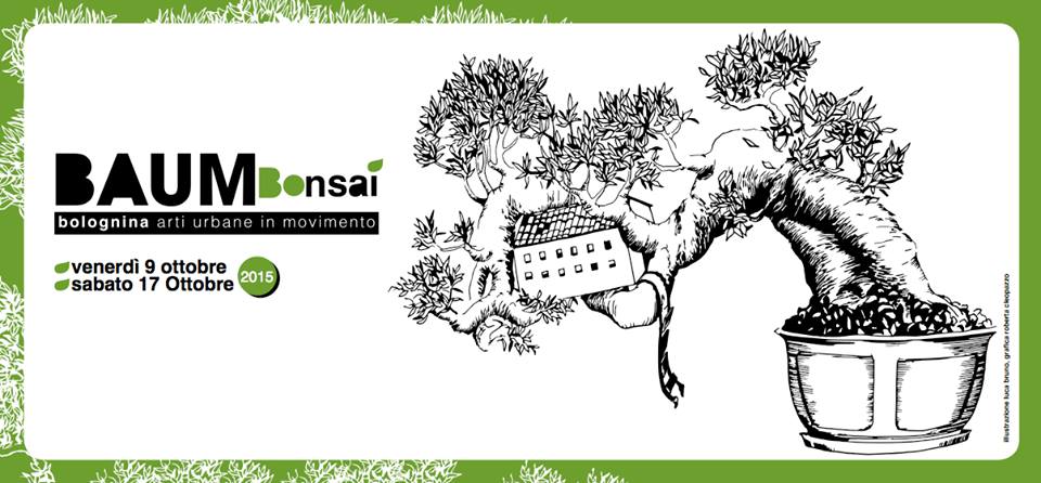 BAUM Bonsai: piccoli semi esplodono – lentissimamente