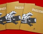 Palude: il quartiere Gianturco nel libro di Diego Miedo e Davide Schiavon